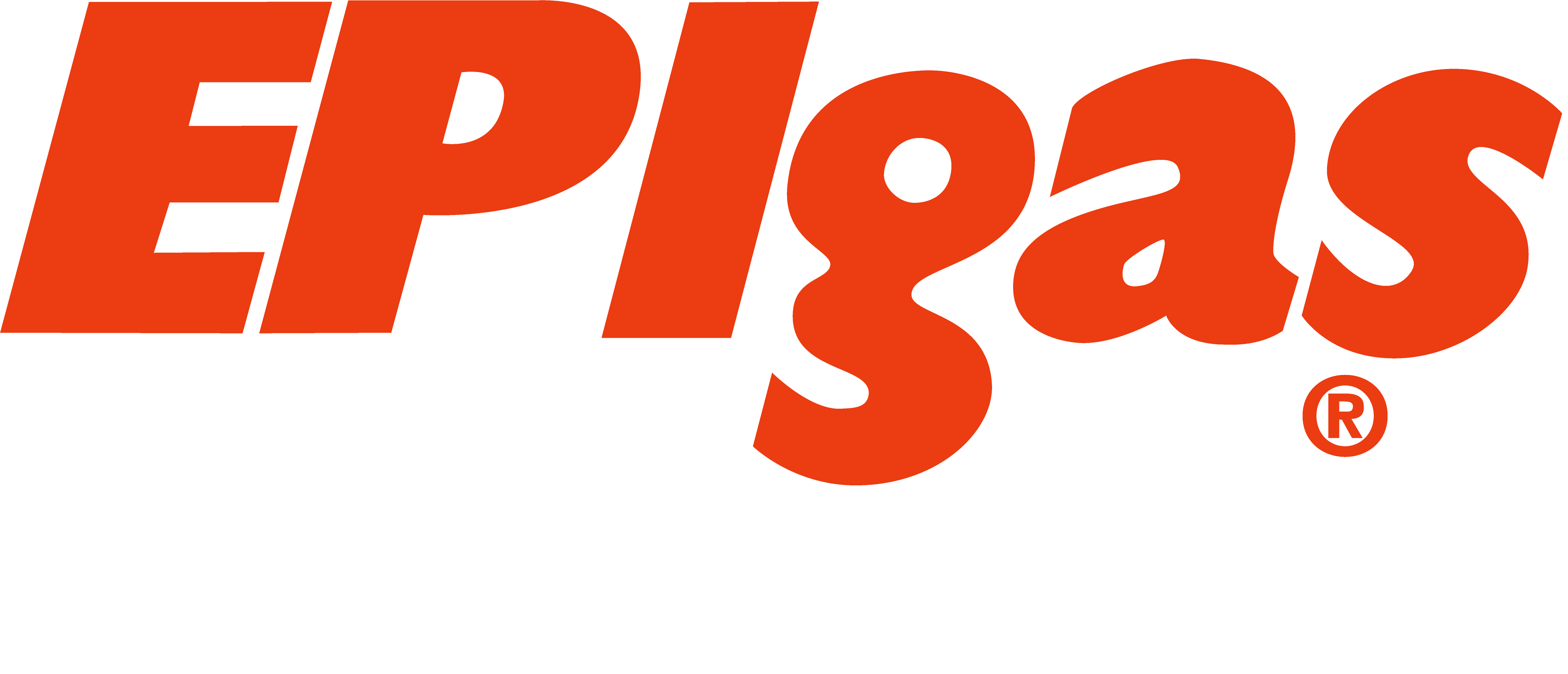 EPIgas online shop page
